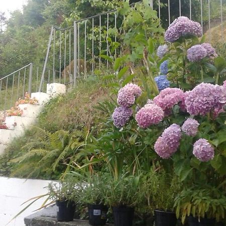 Apartment Maison De Marina Piano di Follo Ngoại thất bức ảnh